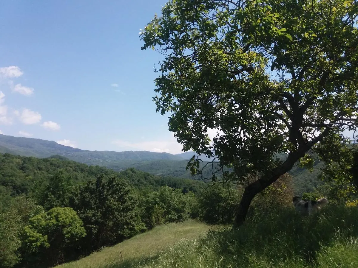 Agriturismo Ca Del Lupo Понтремоли