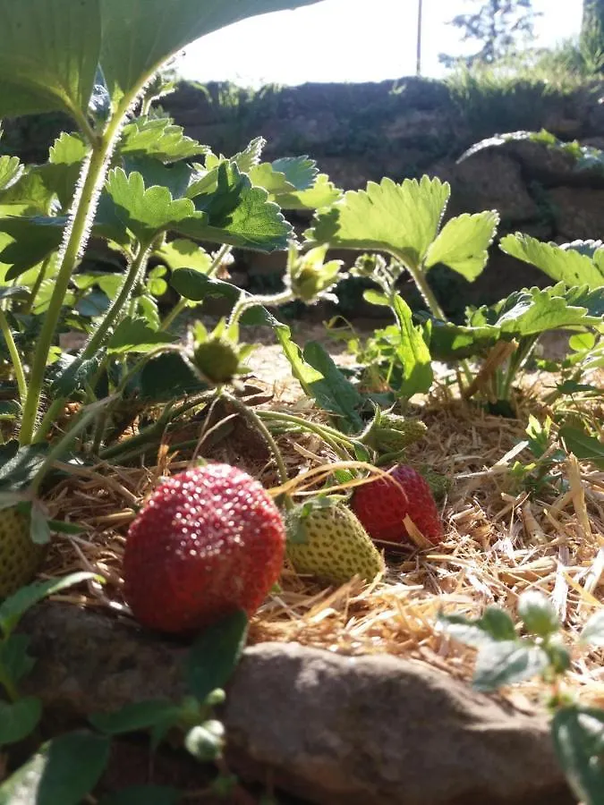 Agriturismo Ca Del Lupo Понтремоли Италия