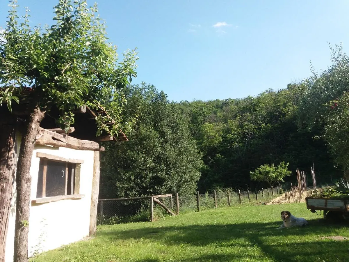 Фермерский дом Agriturismo Ca Del Lupo Понтремоли