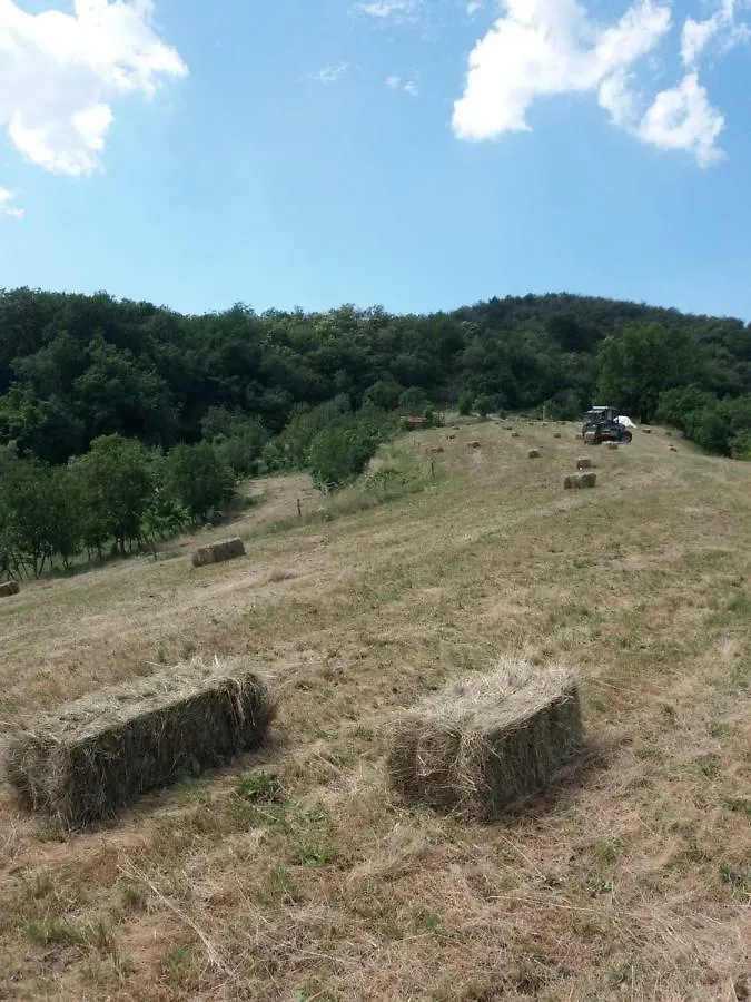 Agriturismo Ca Del Lupo Понтремоли Фермерский дом