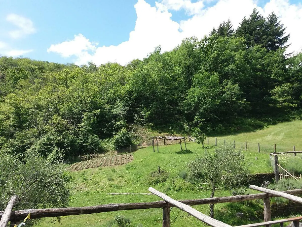 Фермерский дом Agriturismo Ca Del Lupo Понтремоли