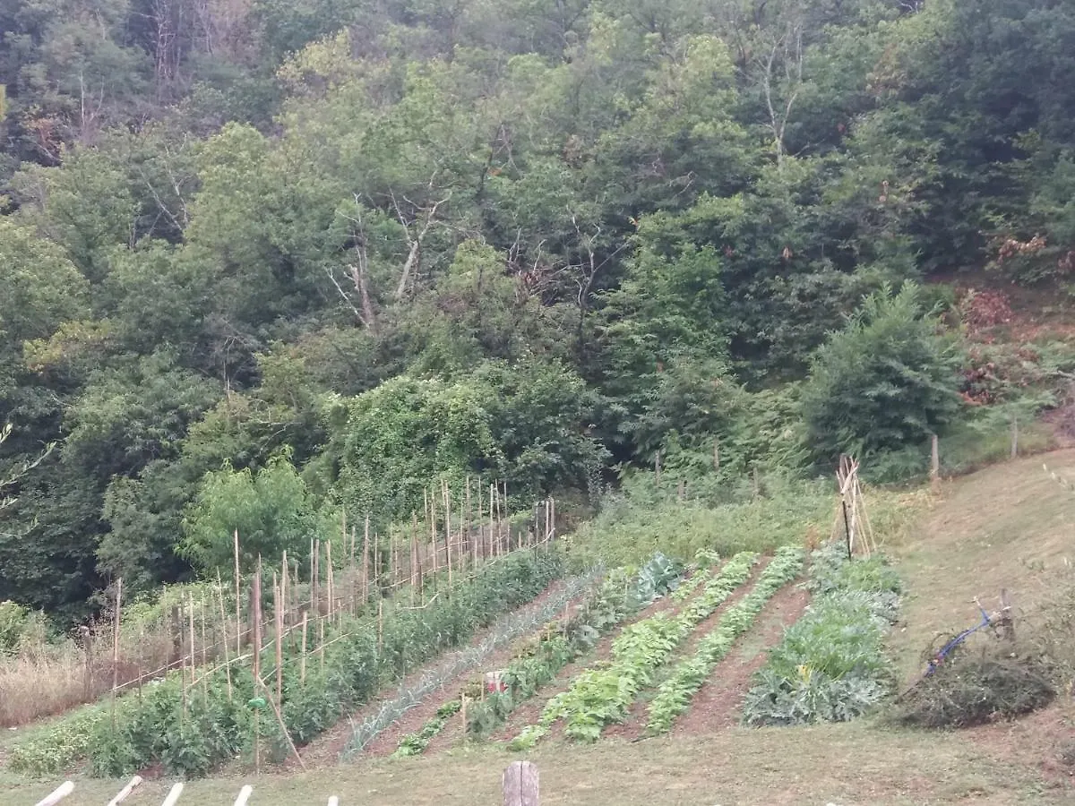 Agriturismo Ca Del Lupo Понтремоли Италия