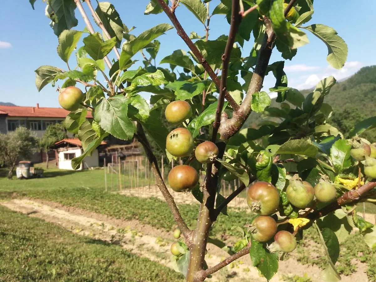Agriturismo Ca Del Lupo Pontremoli Italy